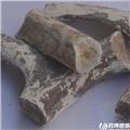 鹿角霜 吉林 个子