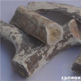 鹿角霜 吉林 个子