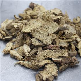 南沙参（东北）