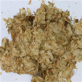 啤酒花 纯净货 新疆 健胃 化痰止咳 安神
