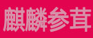 麒麟参茸