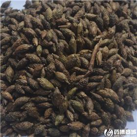 葶苈子 山西 选货