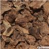 白芨 大货供应 各种规格