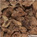 白芨 大货供应 各种规格