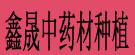 鑫晟中药材种植专业合作社