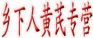 乡下人黄芪专营