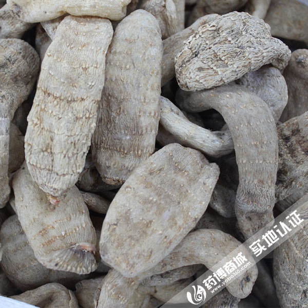 天麻 优质 大货 平肝 息风 止痉