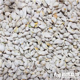 橘核 质优价廉 理气 散结 止痛