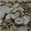 黄玛卡片（国产）大货供应 增强性能力 抗疲劳 增强活力