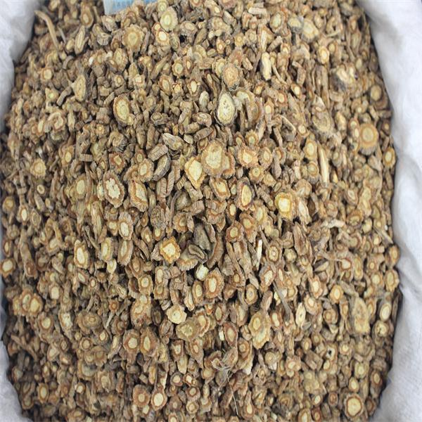 家种内蒙防风 优质价廉 风湿痹痛