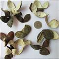 四花青皮 大货供应 疏肝破气 散结消痰