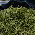 金银花（河南）