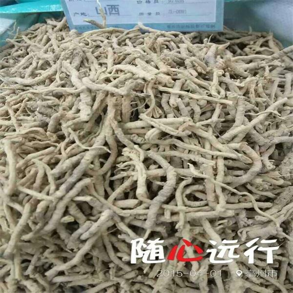 远志（特选装）优质价廉 安神益智