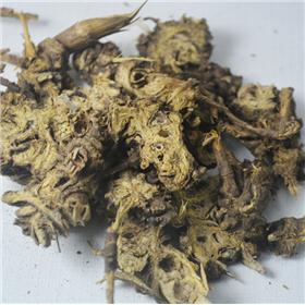 藁本 野生藁本 质优 祛风胜湿 散寒止痛