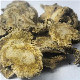 独活 甘肃 大货供应 祛风胜湿 散寒止痛