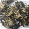 升麻 北朝鲜  发表透疹 清热解毒 升举阳气