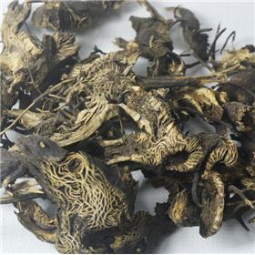 升麻 北朝鲜  发表透疹 清热解毒 升举阳气