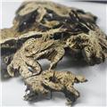 升麻 东北 大货供应 清热解毒 升举阳气