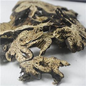 升麻 东北 大货供应 清热解毒 升举阳气