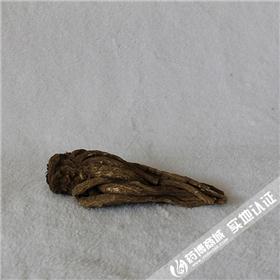 当归（甘肃）原产地直销