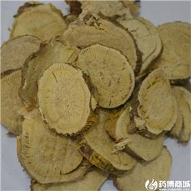 苦参  产地直销