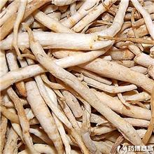 沙参 各种规格 大货..