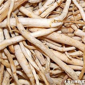 沙参 各种规格 大货供应