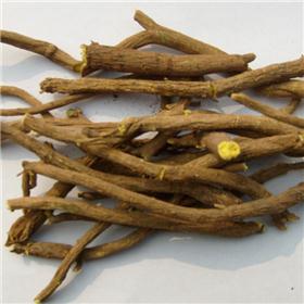 黄芩（陇西）直销