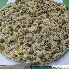 代面 菊饼 质优价格 大货供应