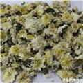 贡菊  优质大货