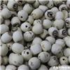 莲子 抽芯 优质价廉 治噤口痢