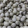 莲子 抽芯 优质价廉 治噤口痢