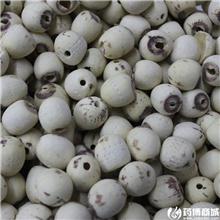 莲子 抽芯 优质价廉..