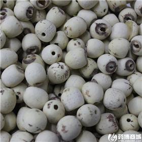莲子 抽芯 优质价廉 治噤口痢