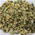 生托菊 质优价廉
