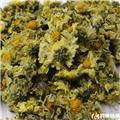 苏北菊 优质大货