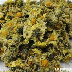 苏北菊 优质大货