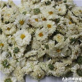 太阳花 黄山  大货供应