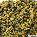 娃娃菊 质优价廉 大货供应