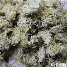 无硫月菊 质优价廉