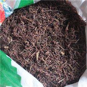 紫菀 水洗 片子 安徽 统 大货供应 润肺下气 消痰止咳