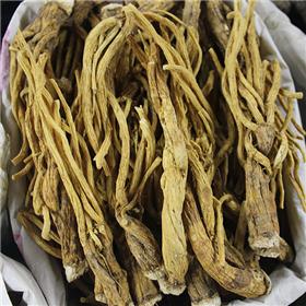 秦艽 选 个子 云南 祛风湿 舒筋络 清虚热
