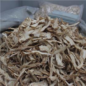 当归 片子 统货 甘肃 大货供应 补血活血 调经止痛