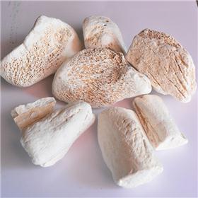 龙骨（各种规格）大货 镇惊安神 平肝潜阳