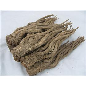 当归（甘肃）直销