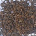 连翘（青）