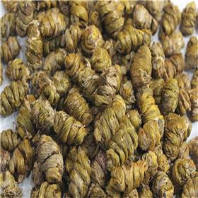铁皮石斛 