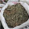 炸酱草 安徽 统 优质大货