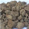 藕节 统货 江苏 无硫 大货供应 散瘀止血