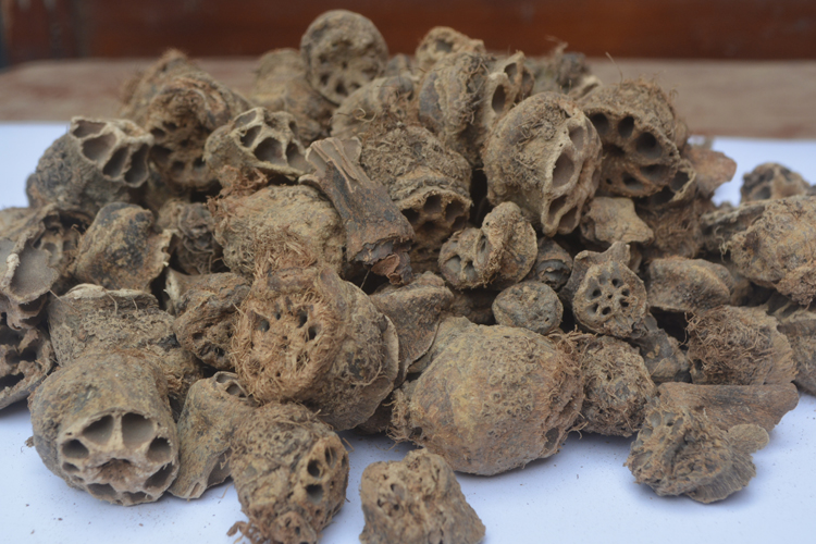 藕节 统货 江苏 无硫 大货供应 散瘀止血